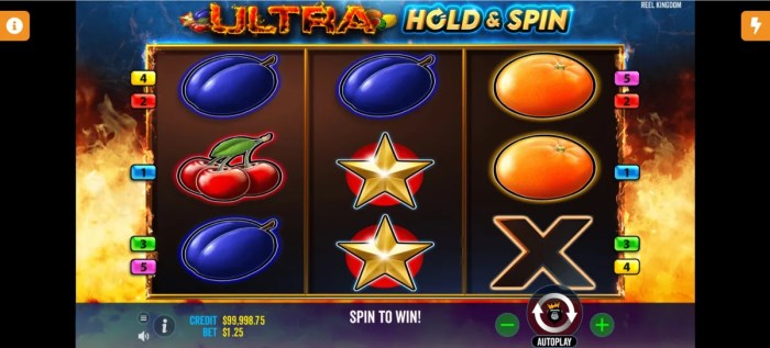 Tips Efektif Bermain Slot Ultra Hold and Spin