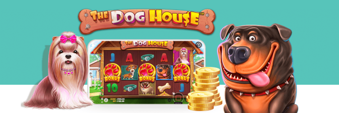 Cara Menang Main Slot The Dog House Pragmatic Play: Panduan Lengkap dan Strategi Jitu post thumbnail image